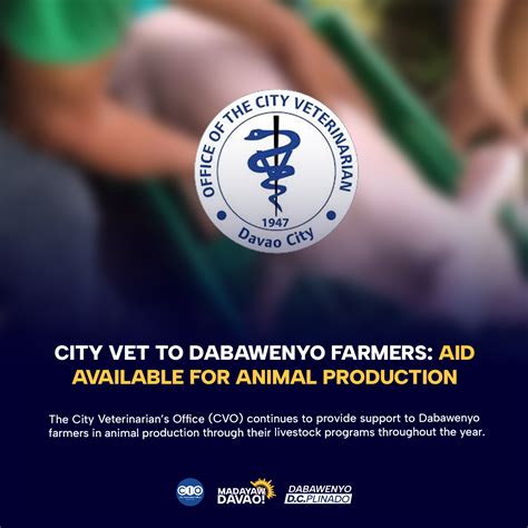 city vet davao|Services .
